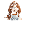 Café pour chien Bassett