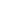Turtle Sea Turtle Turtle Animal
