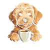 Golden Doodle Coffee