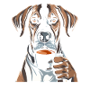Deutsche Dogge Kaffee