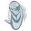 Dolphin Bridal Veil Wedding