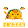 Tacocat spelled backwards is Tacocat