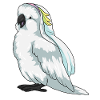 Parrot Bridal Veil Wedding
