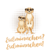 Erdmännchen