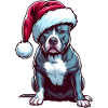 Pitbull Der Weihnachtsmann