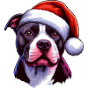 Pitbull Santa Claus