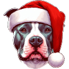 Cadeaux Pitbull pour Noël