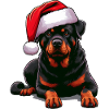 Rottweiler Le Père Noël