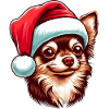 Chihuahua The Santa Claus