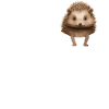 Hedgehogs Kleidung Taschentier T-Shirt
