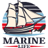 sailing, boat, marine, see