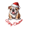 Chien de Noël