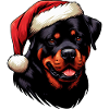 Rottweiler As Santa Claus