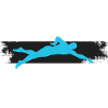 Swimmer