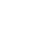 Drone Pilot