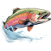 Regenbogenforelle