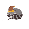 Schlafanzug Waschbär Waschbären Geschenk