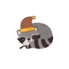 Schlafanzug Waschbär Schlafshirt Geschenk