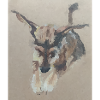 Doggy Water Pixels