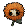 Eye: Orange Flower