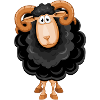 Sheep, Black Sheep, Sheep Humor
