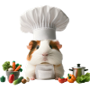 Chef Guinea Pig’s Gourmet Kitchen