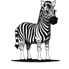 Zebra