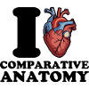 Ich liebe vergleichende Anatomie