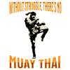 Muay Thaï Boxe Muay Thaï