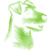 Russell Terrier Drawing Head Green