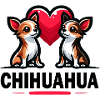 Charming Chihuahua Duo