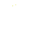 Maman chat