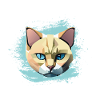 Chat