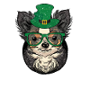 Irish Chihuahua Mexican Dog Owner