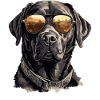 Labrador Labi Labbi