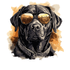 Labrador Labi Labbi