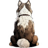 Siberian Husky