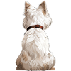 West Highland White Terrier