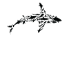 Requin Biologiste marin Requins Silhouette