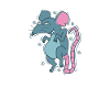 small rat pet rodent