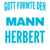 Herbert Name Design