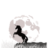 Mondschein-Einhorn über Graslandschaft