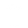 Ski