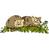 Chats