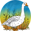 Goose