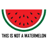 Det här är inte en Watermelon Palestina-kollektion