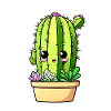 Cactus Mignon Kawaii