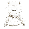Arts martiaux Combat Ours