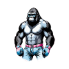 Gorille Boxe