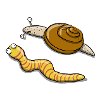 Escargot et chenille